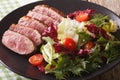 Tasty sliced roast duck breast with fresh vegetable salad close-up. horizontal Royalty Free Stock Photo