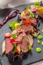 Tasty sliced roast duck breast with fresh vegetable salad closeup on a plate. Royalty Free Stock Photo