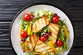 Tasty snack salad Grilled halloumi cheese filed with fresh vegetables close-up on the plate. Horizontal top view