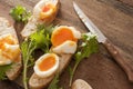 Tasty soft boiled eggs and salad greens Royalty Free Stock Photo