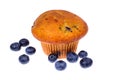 Tasty soft muffin with blueberry on white background Royalty Free Stock Photo