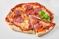 Tasty spicy pepperoni or salami pizza