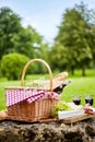 Tasty spring picnic lunch with red wine Royalty Free Stock Photo