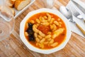 Tasty stew of asturian beans in gravy with sausages