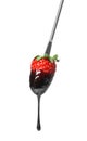 Tasty strawberry dipped into chocolate fondue Royalty Free Stock Photo