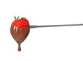 Tasty strawberry dipped into chocolate fondue Royalty Free Stock Photo