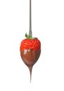 Tasty strawberry dipped into chocolate fondue Royalty Free Stock Photo