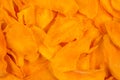 Tasty sugar mango slices background. Top view Royalty Free Stock Photo