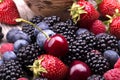 Tasty summer fruits on a wooden table Royalty Free Stock Photo