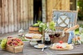 Tasty summer picnic al fresco on a garden table