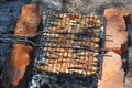 Tasty surmullet fish cooked / fried / roasted / grilled / baked outdoors on campfire. Delicious seafood cooking at picnic