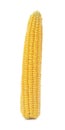 Tasty sweet corn cob o Royalty Free Stock Photo