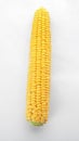 Tasty sweet corn cob Royalty Free Stock Photo