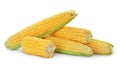 Tasty sweet corn cobs Royalty Free Stock Photo