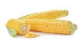 Tasty sweet corn cobs Royalty Free Stock Photo