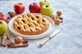 Tasty sweet homemade apple pie cake with cinnamon sticks, walnuts and apples Royalty Free Stock Photo