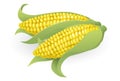 Tasty sweetcorn illustration