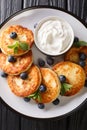 Tasty syrniki with blueberries, mint and sour cream close-up in a plate. Vertical top view