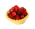 Tasty tartlet with berries,cranberries isolated. Berry tartlets. Cake with berries. Dessert with berries. Healthy food, vitamins