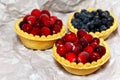 Tasty tartlets with different berries,cranberries,bilberry,blackcurrant . Berry tartlets. Cake with berries. Dessert with berries