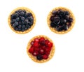 Tasty tartlets with different berries,cranberries,bilberry and blackcurrant isolated. Berry tartlets. Cake with berries. Dessert