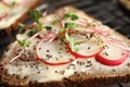 Tasty toast with radishes, sprouts and chia seeds Royalty Free Stock Photo