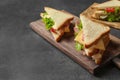 Tasty toast sandwiches on table