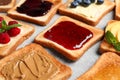 Tasty toasts with different spreads and fruits on light grey table, closeup Royalty Free Stock Photo