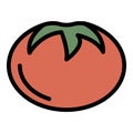 Tasty tomato icon color outline vector