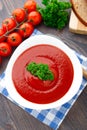 Tasty tomato soup with herbs Royalty Free Stock Photo