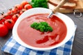 Tasty tomato soup with herbs Royalty Free Stock Photo