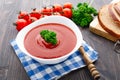 Tasty tomato soup with herbs Royalty Free Stock Photo