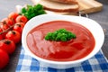 Tasty tomato soup with herbs Royalty Free Stock Photo