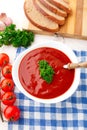 Tasty tomato soup with herbs Royalty Free Stock Photo