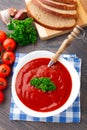 Tasty tomato soup with herbs Royalty Free Stock Photo