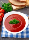 Tasty tomato soup with herbs Royalty Free Stock Photo