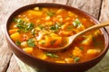 Tasty tomato sweet potato with lentil soup close-up in a bowl. horizontal Royalty Free Stock Photo