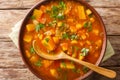 Tasty tomato sweet potato with lentil soup close-up in a bowl. Horizontal top view Royalty Free Stock Photo