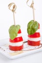 Tasty tomatoe mozzarella salad with basil on white Royalty Free Stock Photo