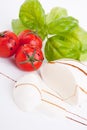 Tasty tomatoe mozzarella salad with basil on white Royalty Free Stock Photo