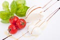 Tasty tomatoe mozzarella salad with basil on white Royalty Free Stock Photo