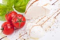 Tasty tomatoe mozzarella salad with basil on white Royalty Free Stock Photo