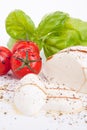 Tasty tomatoe mozzarella salad with basil on white Royalty Free Stock Photo