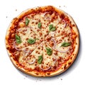 Tasty top-view sliced Pizza supreme