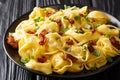 Tasty tortelloni with bacon and cheese close-up in a plate. horizontal