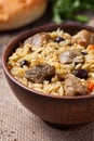 Tasty traditional pilaf meal with rice, fried meat