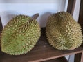 a tasty tropical durian fruits