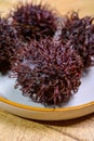 Tasty tropical exotic fruits, ripe fresh unpeeled hairy rambutan southeast Asian fruits rambutan southeast Asian fruits