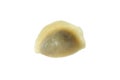 Tasty varenik or pierog isolated on white background Royalty Free Stock Photo