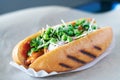 Tasty vegan meatless hot dog Royalty Free Stock Photo